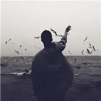 6686体育app海外作者Sadie