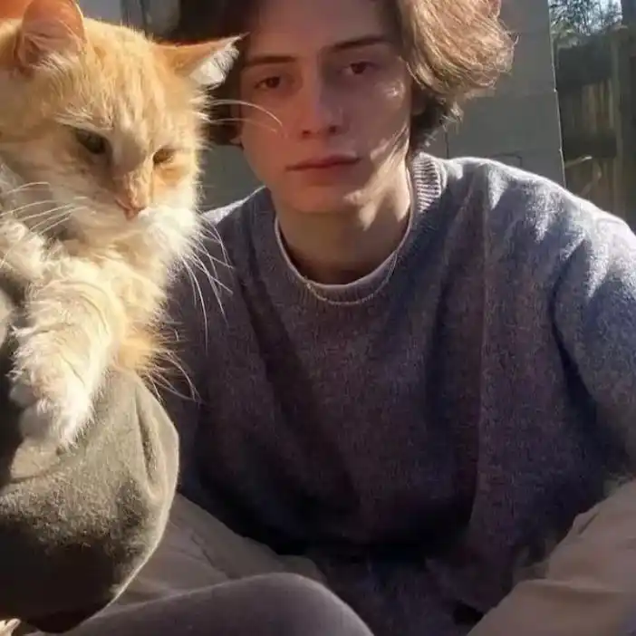 6686体育app钻石作者Esme