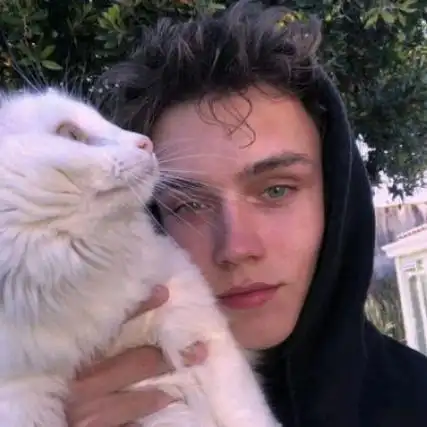 6686体育app钻石作者忆清风