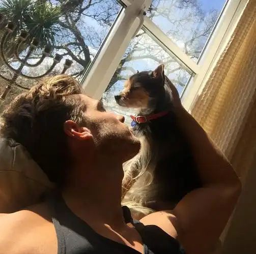 6686体育app高级作者把酒临风