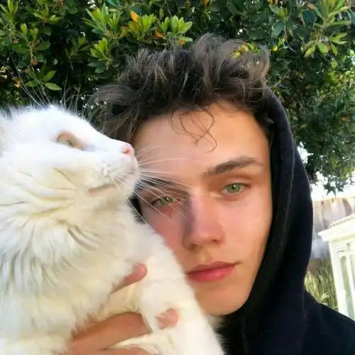 6686体育app首席作者Calvin