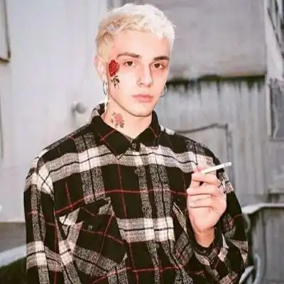 6686体育app初级作者Vega