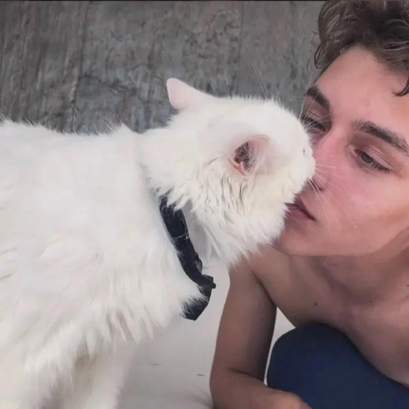 6686体育app高级作者Logan