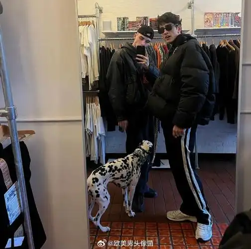 6686体育app首席作者夜茹茨殇